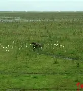 ?Y?7?q艕wI崺]5??籒M夀Hy?w040鸡誔(?T?>O(从cujjmnm87ikl00)-友博官网